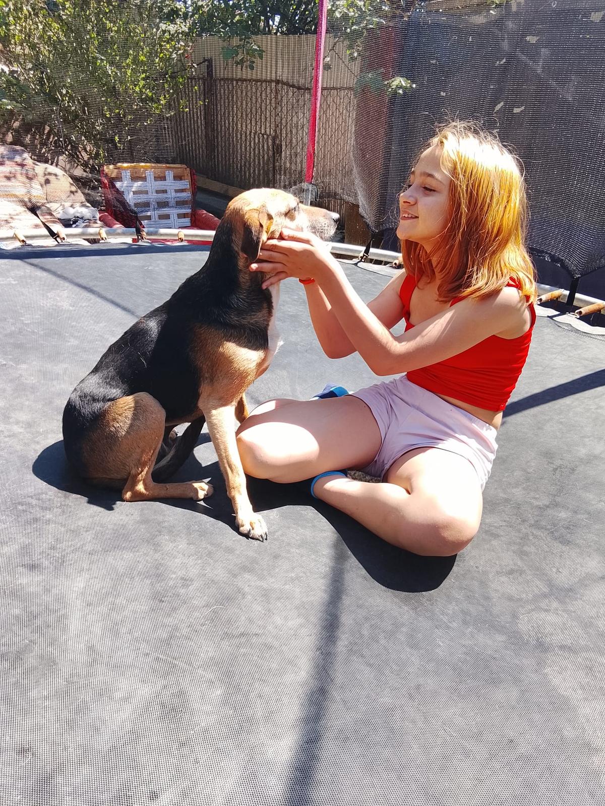 Vera Mischling  – Hund Mischling sucht ein Zuhause in Ungarn